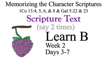 Learn B (Days 3-7)