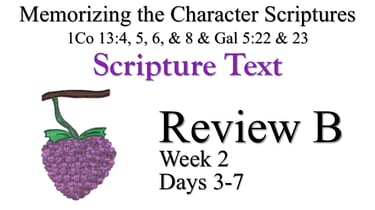 Review A (Days 3-7)