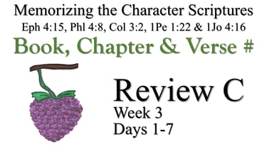 Review C (Days 1-7)