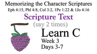 Learn C (Days 3-7)