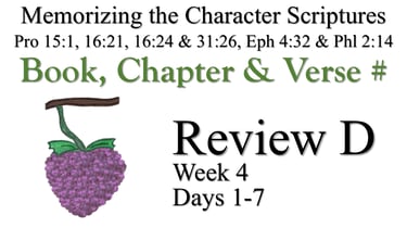 Review D (Days 1-7)