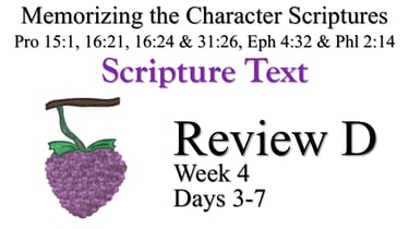 Review D (Days 3-7)
