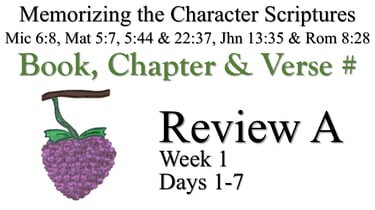 Review A (Days 1-7)