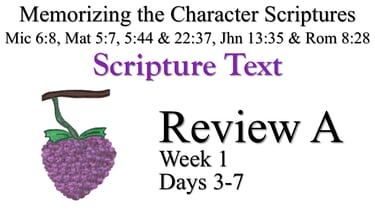 Review A (Days 3-7)