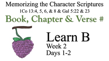 Learn B (Days 1-2)