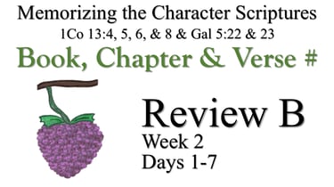 Review B (Days 1-7)