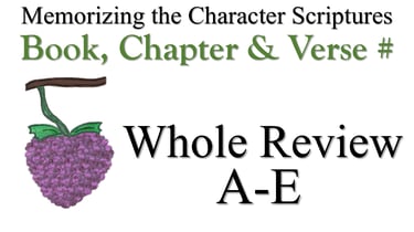 A-E Book, Chapter & Verse # Whole Review