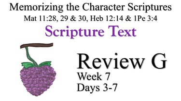 Review G (Days 3-7)