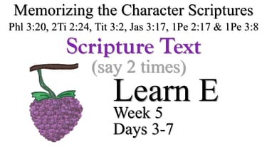Learn E (Days 3-7)