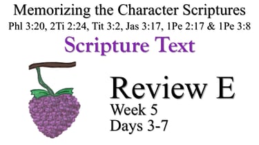 Review E (Days 3-7)