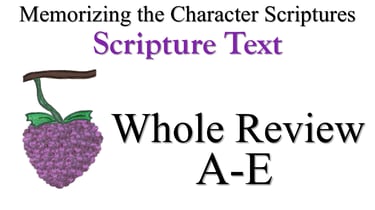 A-E Scripture Text Whole Review