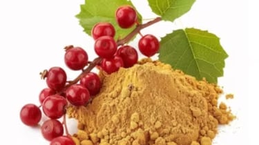 Schisandra Fruit Extract