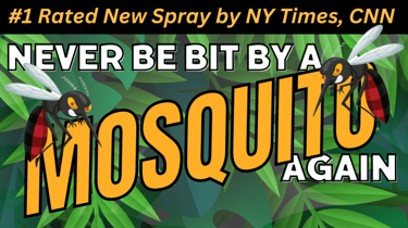 Randy tells you the best mosquito repellent and tips.