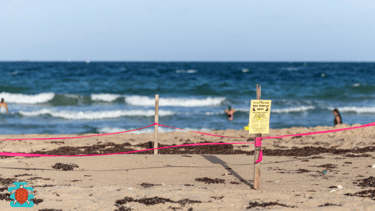 Iztuzu Beach conservation area warning signs