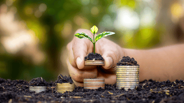 a person holding a plant growing from coins