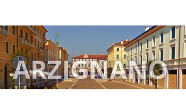 SITI WEB ARZIGNANO