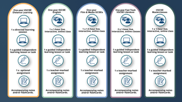 Fees Infographic