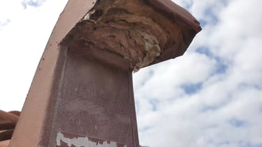 Dryer roof vent clogged with lint in Cape Coral