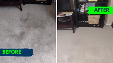 Image of Refresh Property Services after a carpet cleaning in san antonio, TX. 