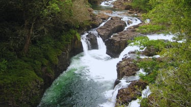 foto da vista do rio wailuku em hilo no havai