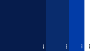 Colorimetría del equipo Blas Pascal Basketball