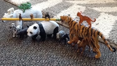 animal toys on a carpet