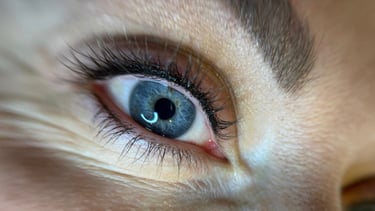 Liner en densification ciliaire maquillage permanent des yeux Sedan pour un regard intense noir 