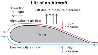 bernoulli's principle