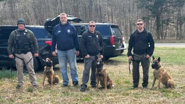 OnPoints Dogs