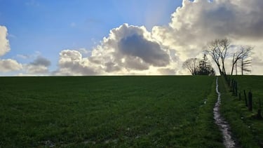 panorama-aan-Kluisbos