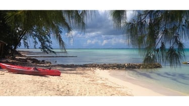 Barcos de passeio ancorados à beira-mar em Grand Cayman, com palmeiras e o litoral ao fundo.