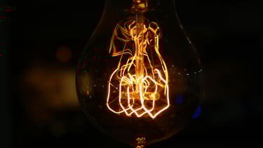 LED grow light bulb