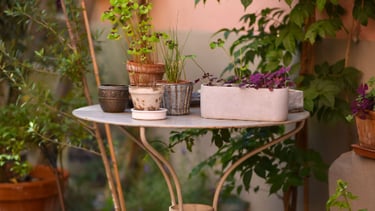 jardin gite zum harzala ribeauvillé