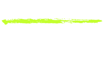 decorative underline graphic