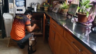 Jansen Pest Control technician performing professional pest control treatment under a kitchen sink i