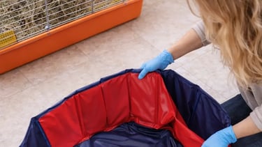 mise en place de la zone tampon sécurisée qui est un enclos pour animaux le temps du nettoyage