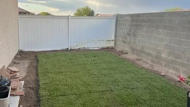 Newly laid natural grass lawn in a compact backyard patio surrounded by concrete walls.