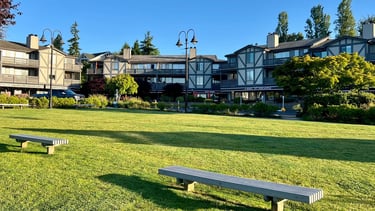 Commercial Landscape Maintenance, Lawn mowing care, Condo and Retail space