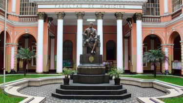 Facultad de Medicina san fernando de la Universidad San Marcos, donde el Dr. Tafur realizo su formación como especialista