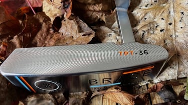 Brace forged golf putter on bed of Autumn leaves