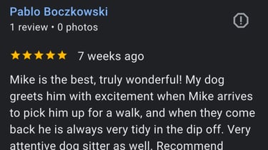 Review by Pablo Boczkowski