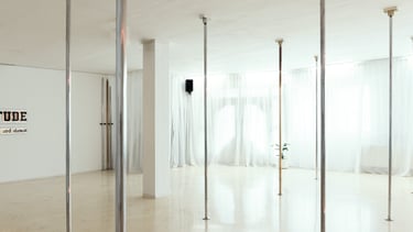 pole dance studio ATTITUDE Voitsberg