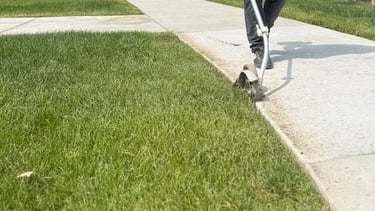Edging and trimming Lawn