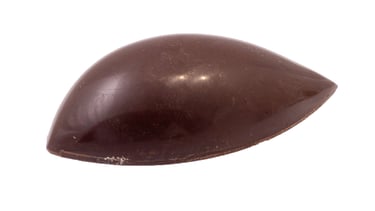Passievrucht mango praline