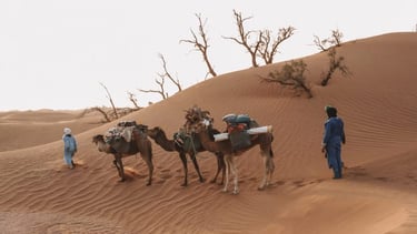 trekking in chigaga desert zagora - soul of nomads