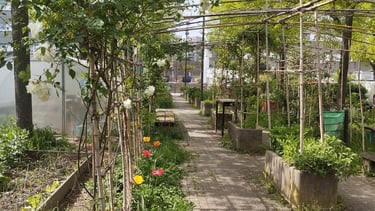 Jardin place Pablo Picasso Villejuif