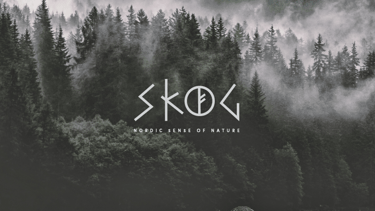 Visuell identitets eksempel – Skog