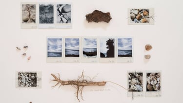 The Australian Journey (Native Grounds) 47, 2025 ©Regina Anzenberger