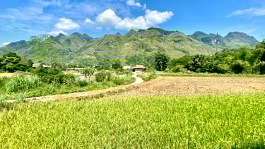 a field with a mountain in the background