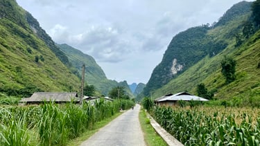 a dirt road with a dirt road and a dirt road